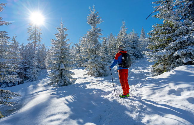 Ylläsjärvi Snowshoeing Tour - Photo 6