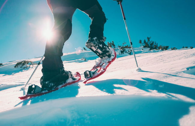 Ylläsjärvi Snowshoeing Tour - Photo 1