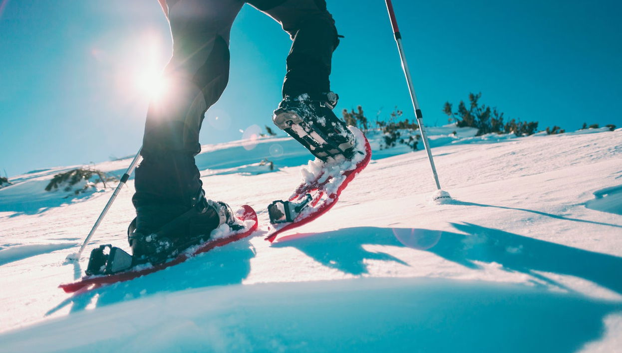 Ylläsjärvi Snowshoeing Tour - Photo 1
