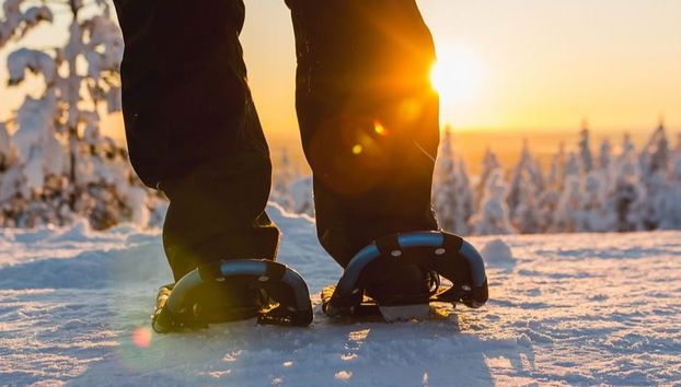 Northern Lights Snowshoeing Tour - Photo 2