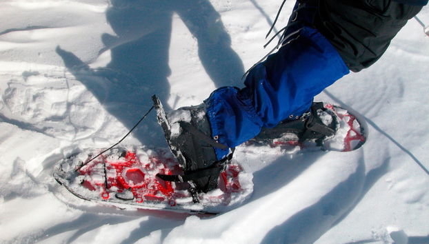 Ylläsjärvi Snowshoeing Tour - Photo 3