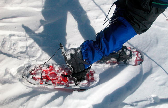 Ylläsjärvi Snowshoeing Tour - Photo 3