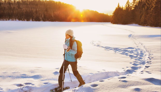 Ylläsjärvi Snowshoeing Tour - Photo 4