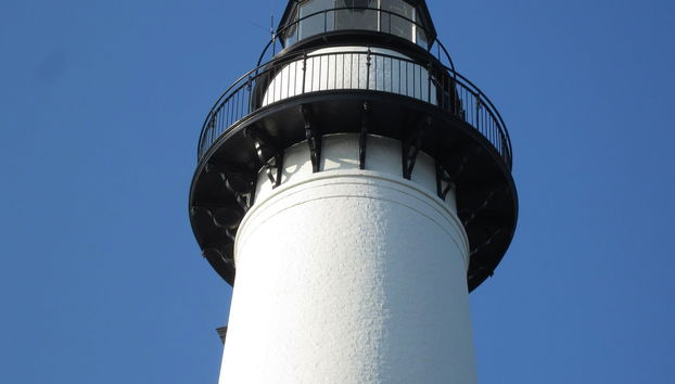 Excursion à l'île de San Simón - Photo 5