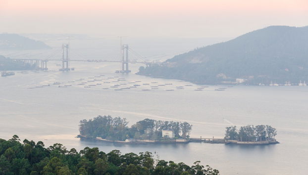 Excursion à l'île de San Simón - Photo 3