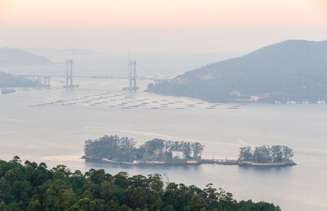 Excursion à l'île de San Simón - Photo 3