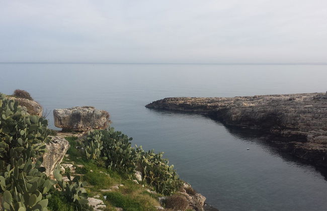 Bautismo de buceo en Polignano a Mare - Foto 3