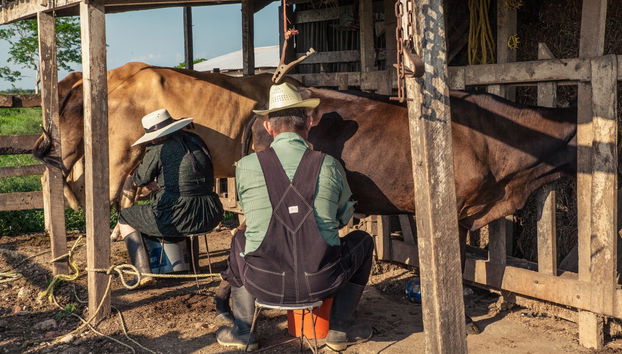 Transfer a Chihuahua + Almoço com menonitas - Foto 5