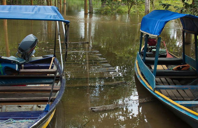 Excursion à Isla Cacao et visite de la communauté de San Antonio - Photo 8