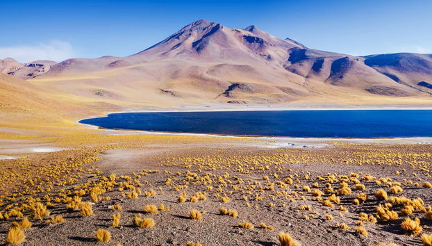 Piedras Rojas, Atacama Salt Flats & Altiplano Lakes Trip - Photo 4