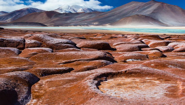 Piedras Rojas, Atacama Salt Flats & Altiplano Lakes Trip - Photo 5