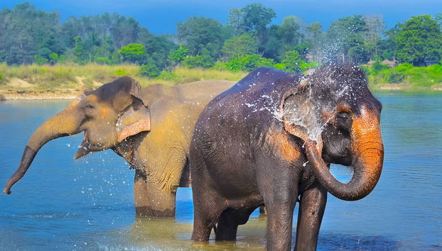 Nepal 8-Day Tour - Photo 3