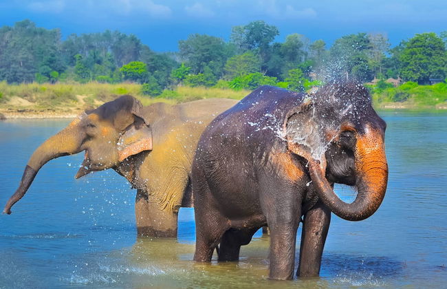 Nepal 8-Day Tour - Photo 3