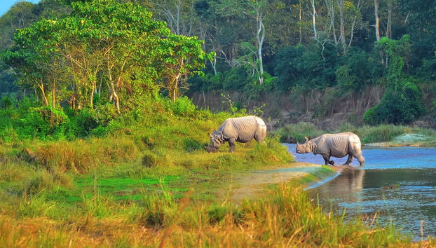 Nepal 8-Day Tour - Photo 5