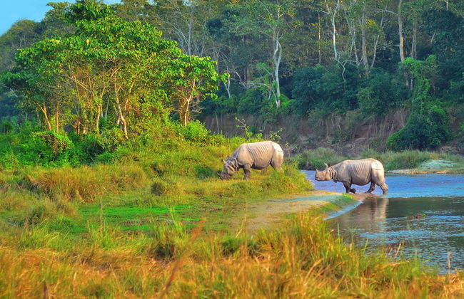 Nepal 8-Day Tour - Photo 5