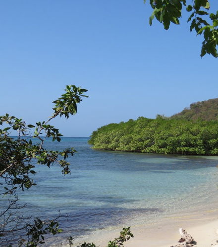 Foto de Excursión a Playa Cristal