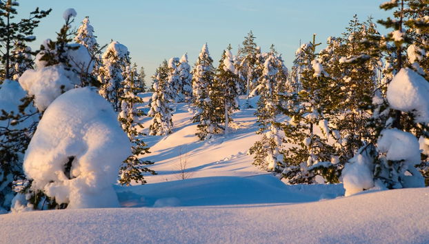 Riisitunturi National Park Hiking - Photo 2