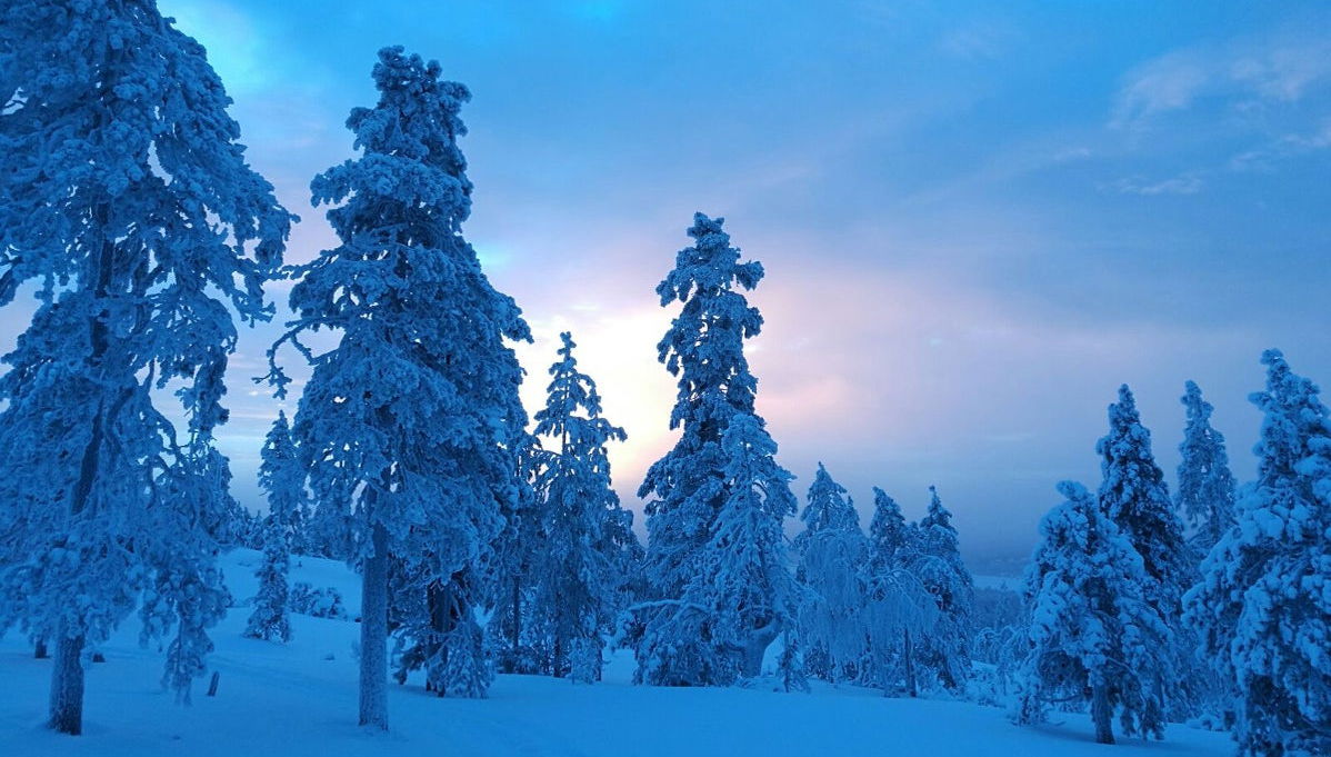 Riisitunturi National Park Hiking - Photo 1
