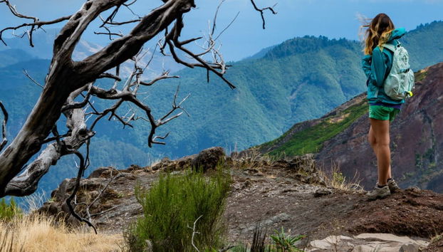Madeira Hiking Tour - Foto 4