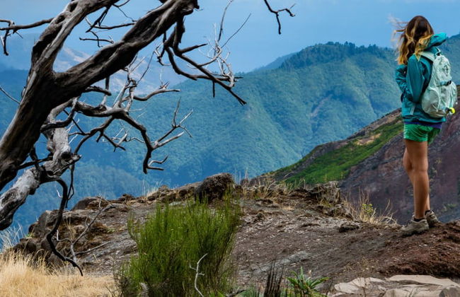 Madeira Hiking Tour - Foto 4