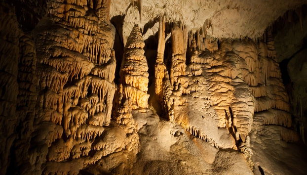 Excursión privada a la cueva Postojna y el castillo de Predjama - Foto 3