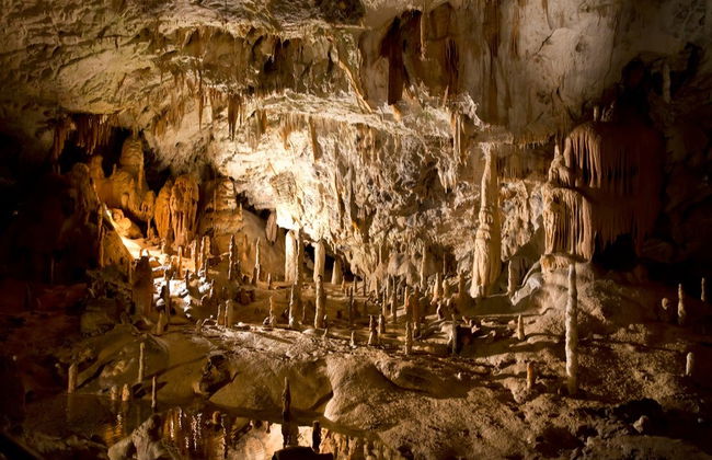 Excursion privée à la grotte de Postojna et au château de Predjama - Photo 4
