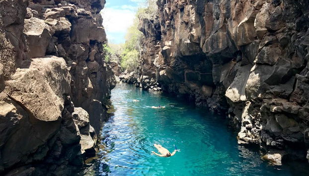 Excursão a Tortuga Bay - Foto 3