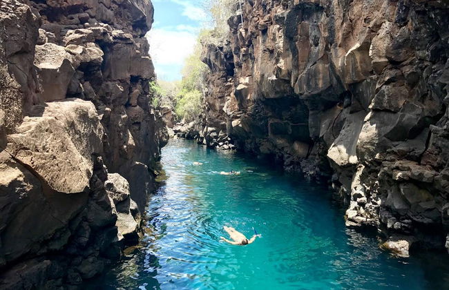 Tortuga Bay Day Trip - Foto 3