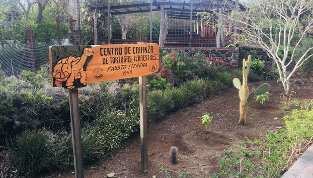 Visite de la station de recherche Charles Darwin - Photo 2