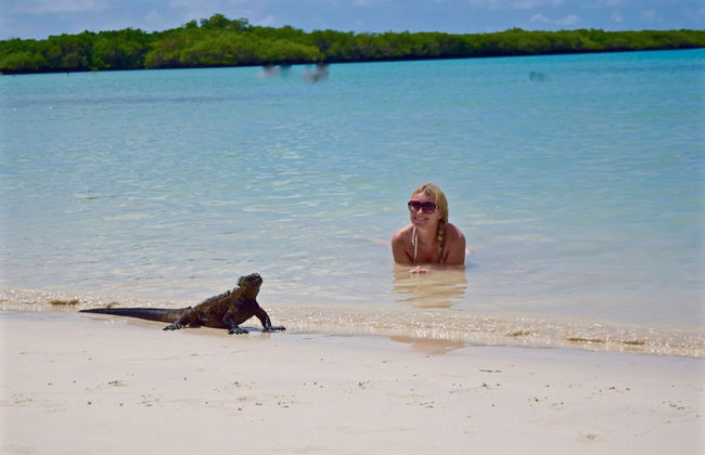 Tortuga Bay Day Trip - Foto 1