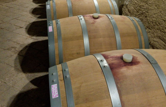 Excursion dans une cave du Priorat - Photo 2