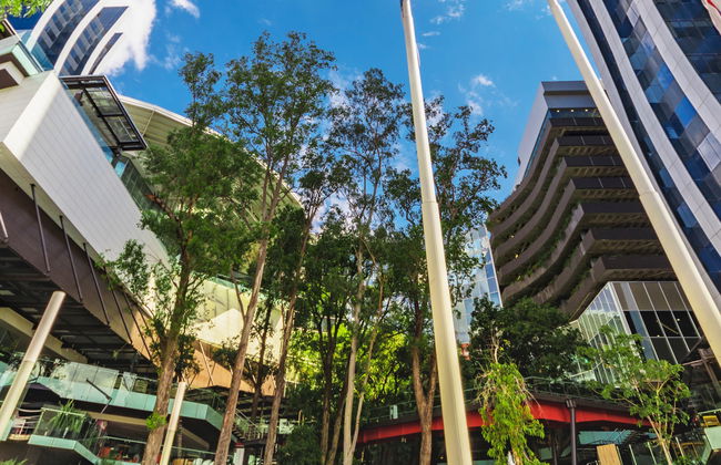 Tour de compras por Assunção - Foto 8