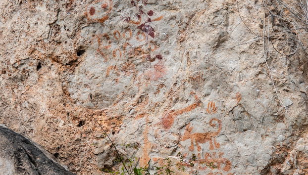 Metzabok Day Trip - Photo 3