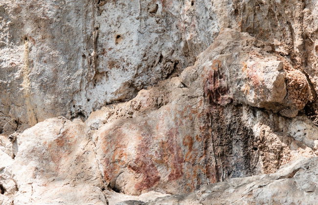 Metzabok Day Trip - Foto 1