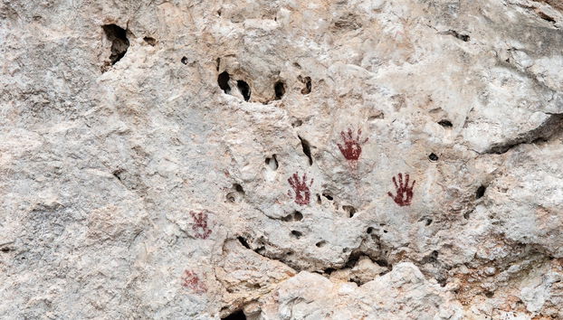 Metzabok Day Trip - Photo 4