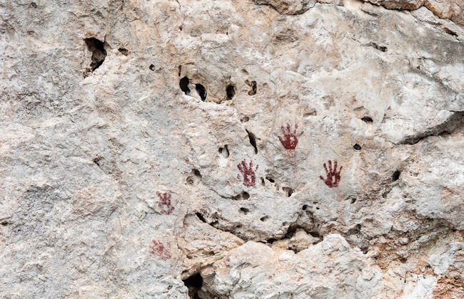 Metzabok Day Trip - Foto 4