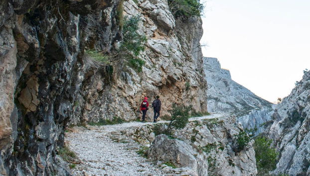 Tour en jeep + Senderismo por la Ruta del Cares - Foto 3