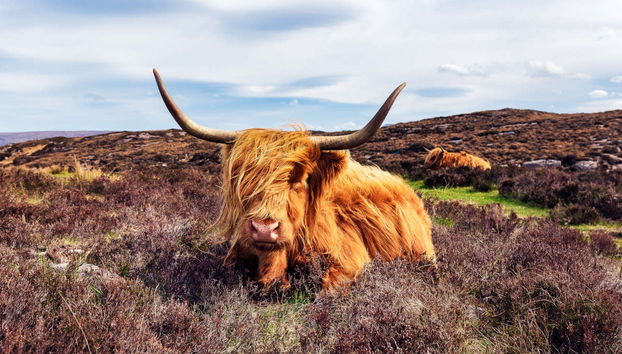 Applecross and the Highlands Trip - Photo 3