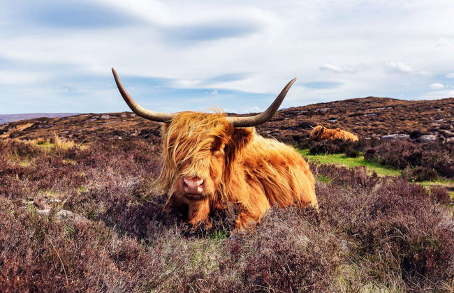 Applecross and the Highlands Trip - Photo 3