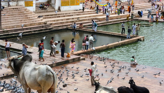 Excursion privée à Pushkar - Photo 4