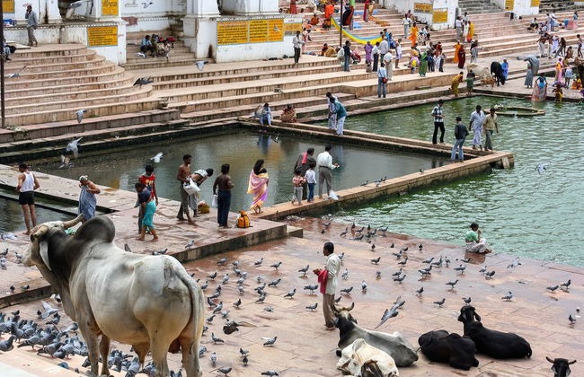 Pushkar Private Day Trip - Photo 4