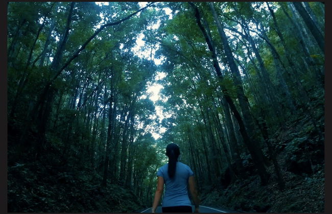 Visita guiada por Bohol - Foto 3