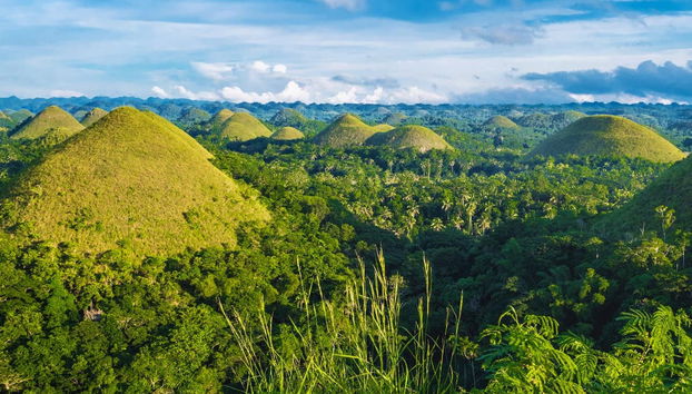 Visita guidata di Bohol - Foto 4