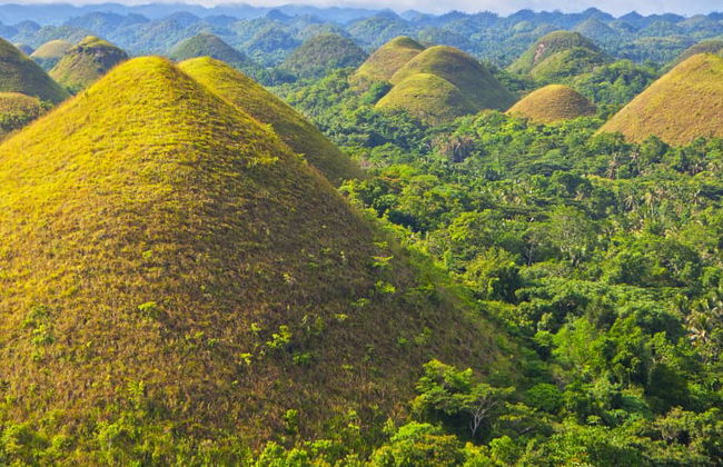 Visita guiada por Bohol - Foto 4
