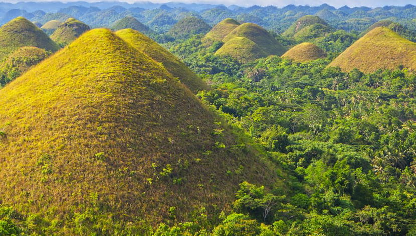 Visite guidée de Bohol - Photo 3