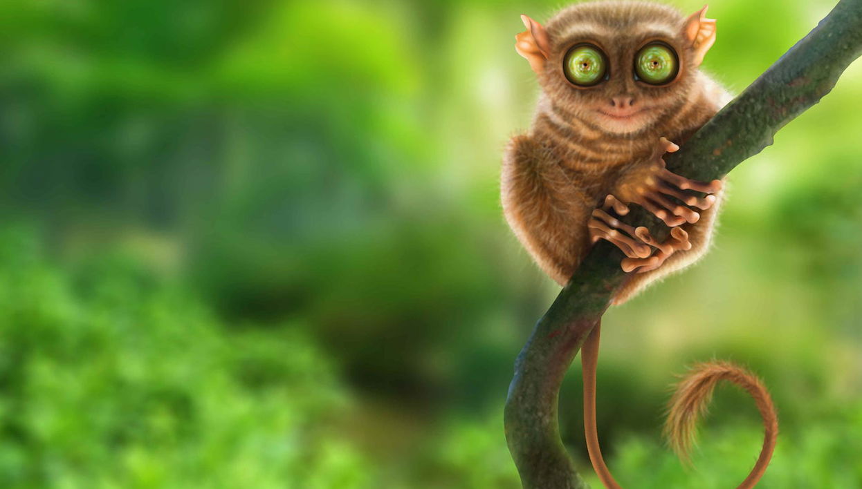 Visita guidata di Bohol - Foto 1