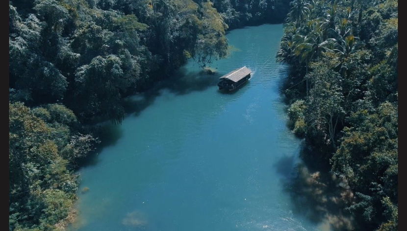 Visite guidée de Bohol - Photo 2