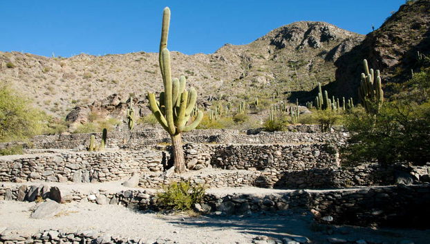 Excursão a Tafí del Valle e ruínas de Quilmes + Visita a uma vinícola - Foto 4