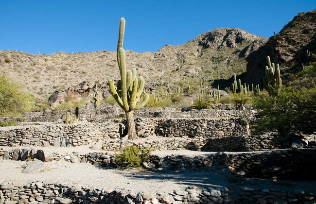 Excursão a Tafí del Valle e ruínas de Quilmes + Visita a uma vinícola - Foto 4