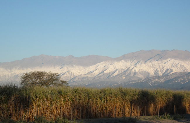 Excursión a Tafí del Valle y ruinas de Quilmes + Visita a una bodega - Foto 6